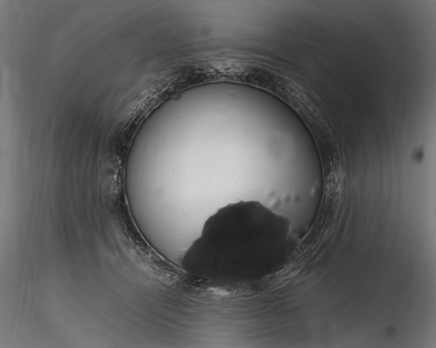 X0000116290464200912141316