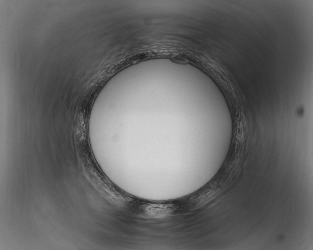 X0000116290465200912141316