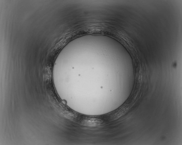 X0000116290467200912141316