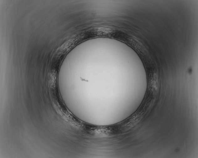 X0000116290468200912141316