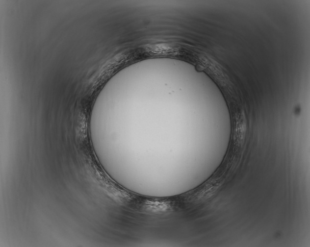 X0000116290469200912141316