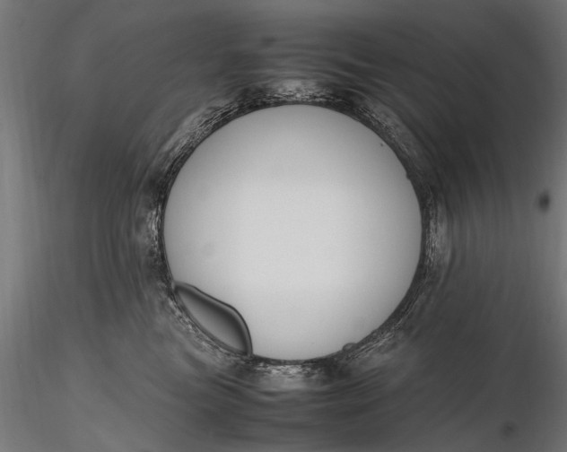 X0000116290473200912141316