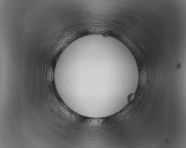 X0000116290474200912141316