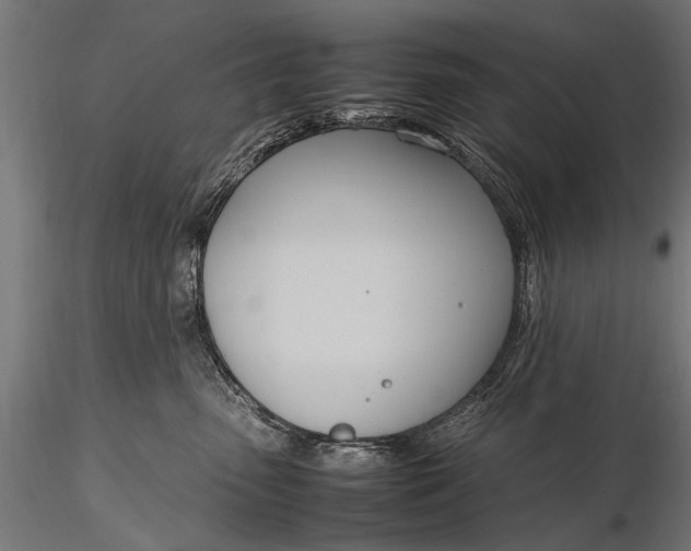 X0000116290475200912141316