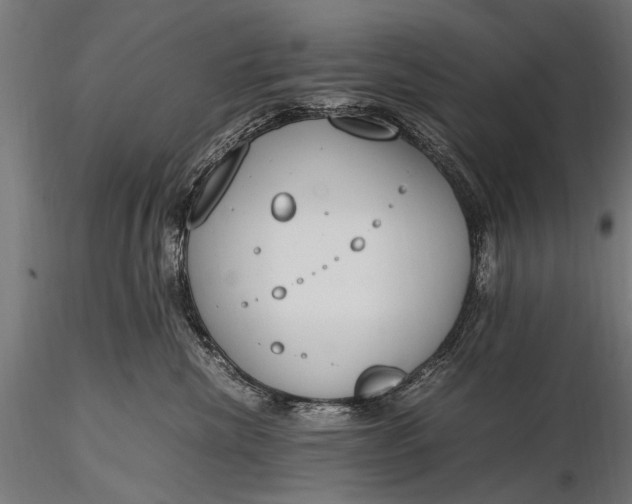 X0000116290476200912141316