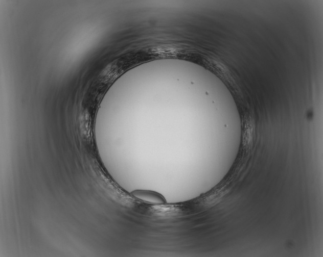 X0000116290477200912141316