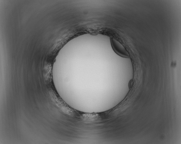 X0000116290480200912141316