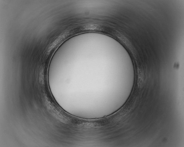 X0000116290482200912141315