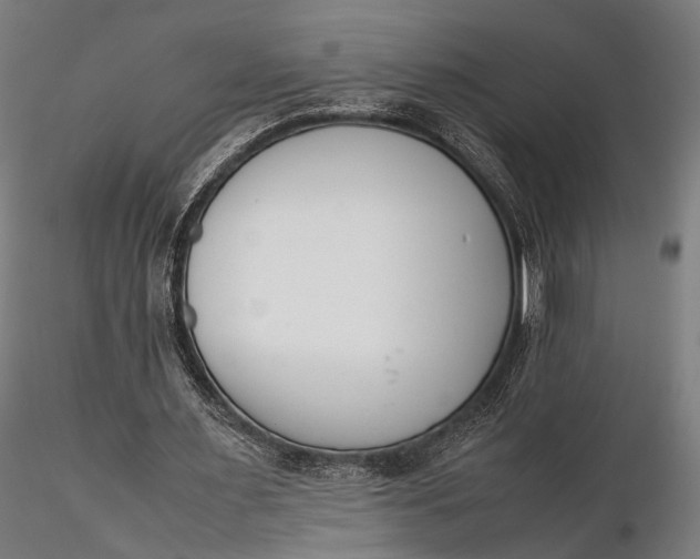 X0000116290483200912141315