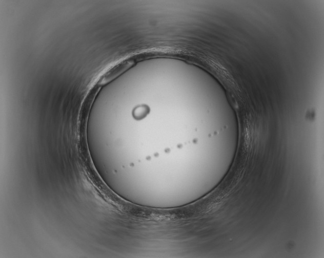 X0000116290484200912141315