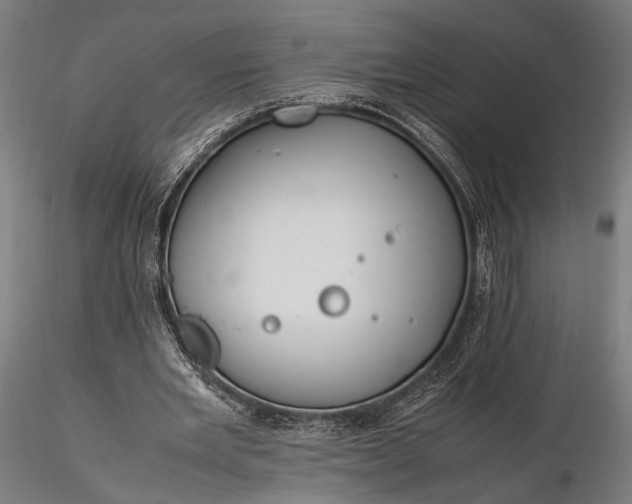 X0000116290485200912141315