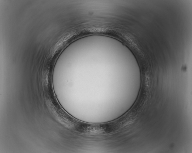 X0000116290491200912141315