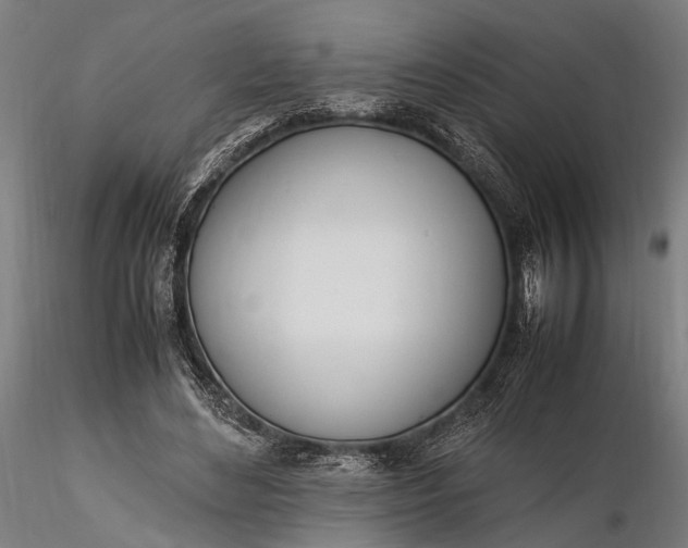 X0000116290492200912141315