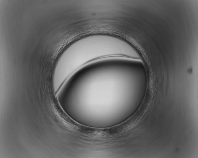 X0000116290493200912141315