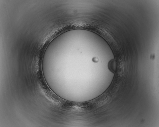 X0000116290496200912141315