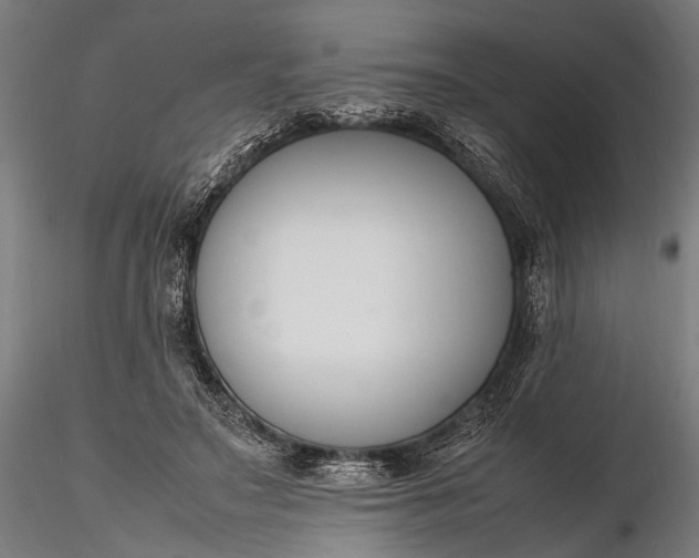 X0000116290499200912141315