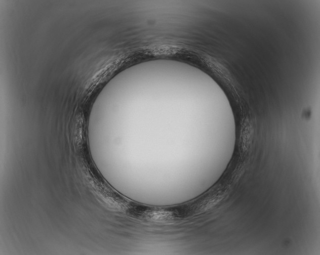 X0000116290501200912141315