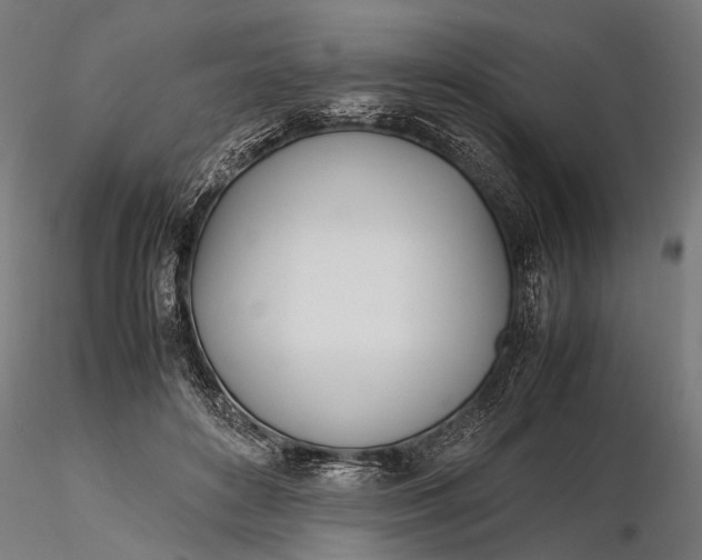 X0000116290504200912141315