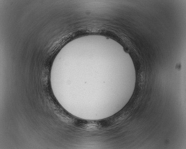 X0000116290505200912141315