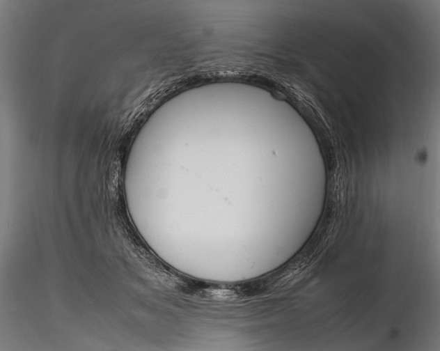 X0000116290509200912141315