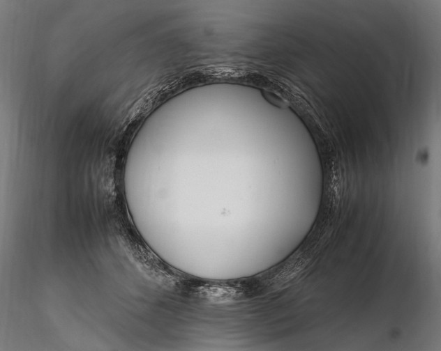 X0000116290512200912141315