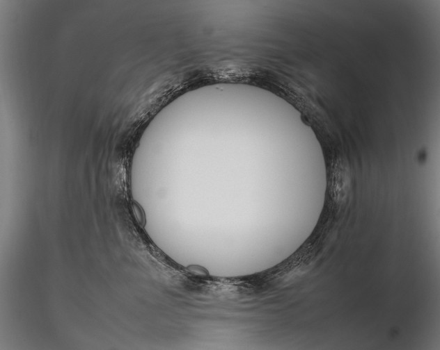 X0000116290523200912141315