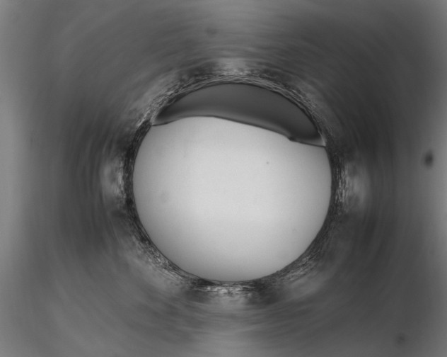 X0000116290524200912141315