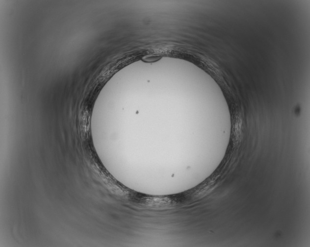 X0000116290525200912141315