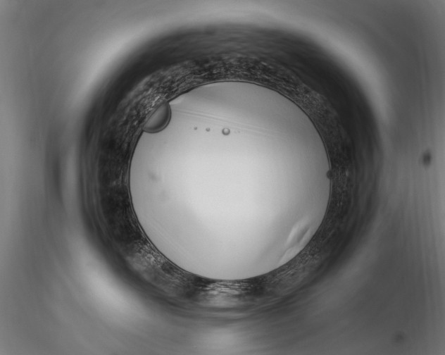 X0000116290526200912141315