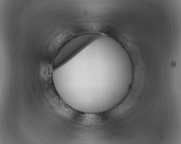 X0000116290528200912141315