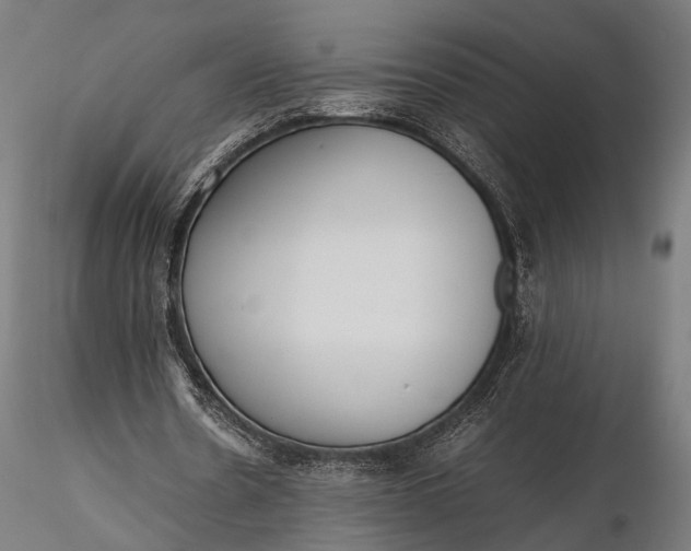 X0000116290530200912141314