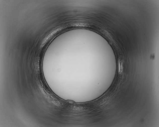 X0000116290531200912141314