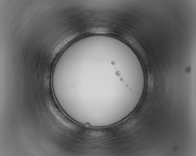 X0000116290533200912141314