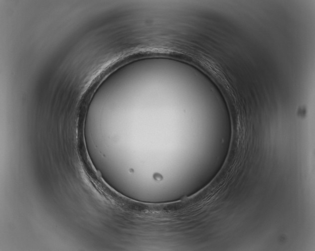 X0000116290534200912141314