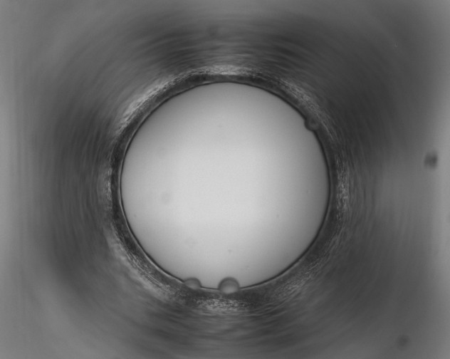 X0000116290535200912141314