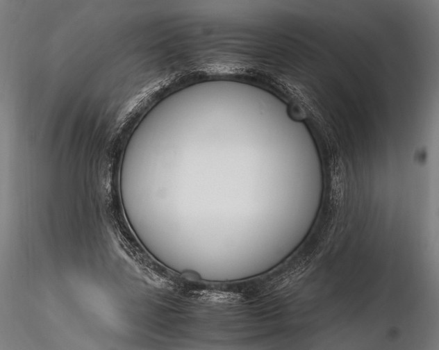 X0000116290539200912141314