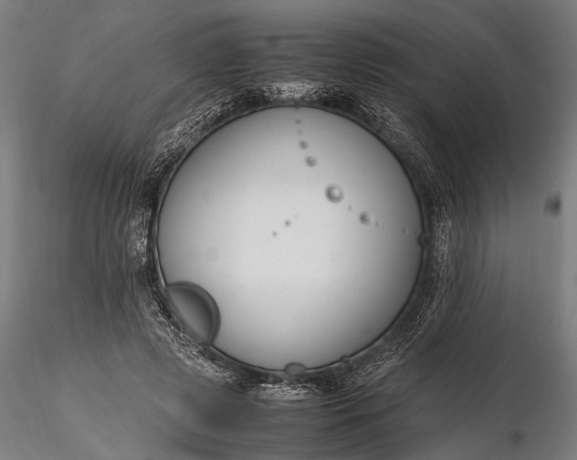 X0000116290545200912141314