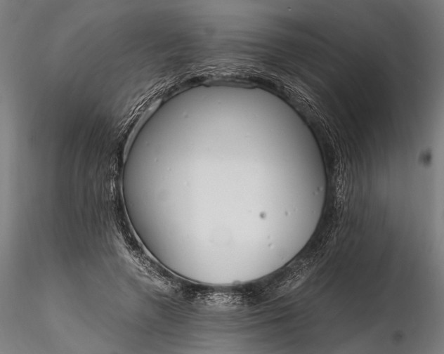 X0000116290546200912141314