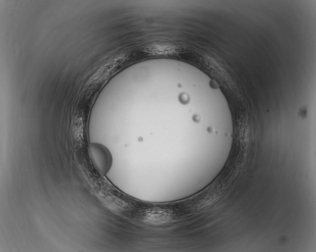 X0000116290549200912141314