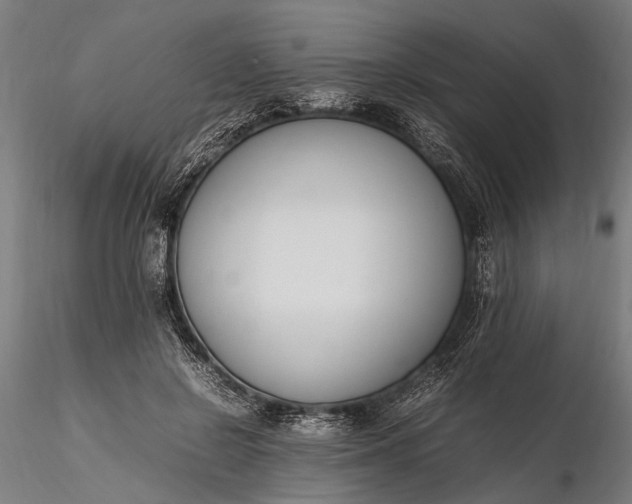 X0000116290550200912141314