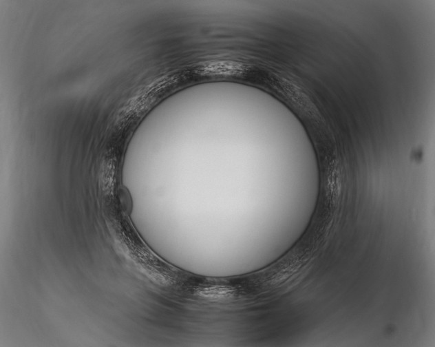 X0000116290551200912141314