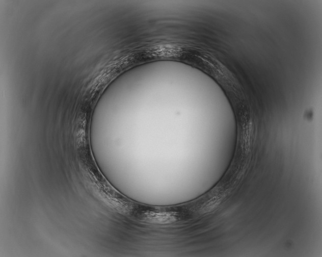 X0000116290553200912141314