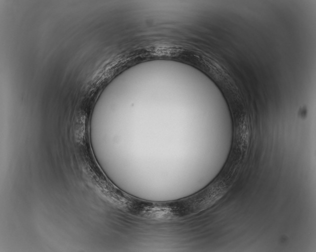 X0000116290554200912141314