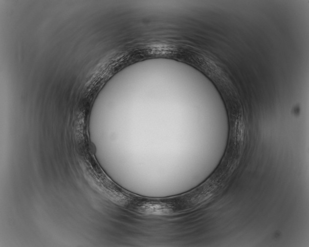 X0000116290557200912141314