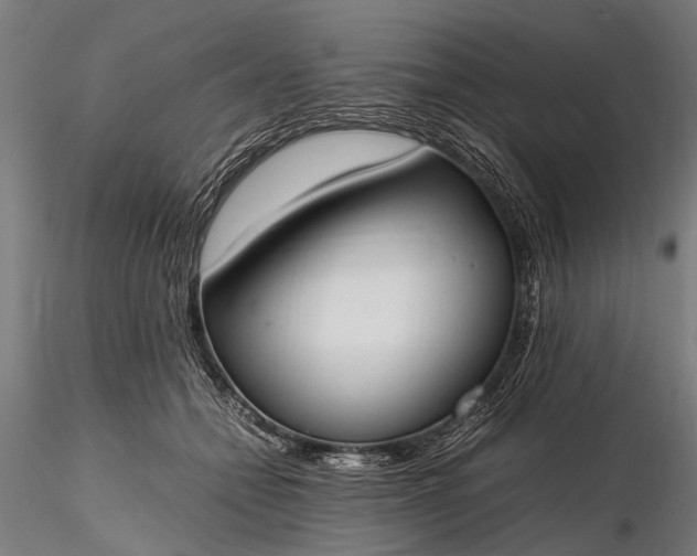 X0000116290558200912141314