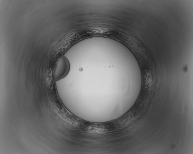 X0000116290559200912141314