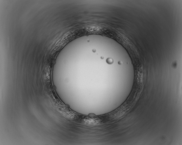 X0000116290561200912141314