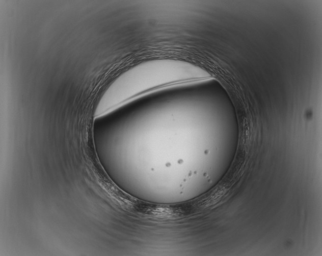 X0000116290562200912141314