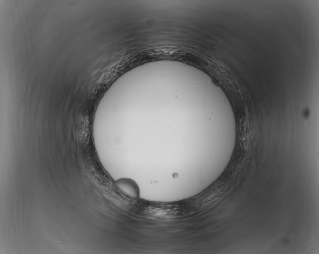 X0000116290563200912141314