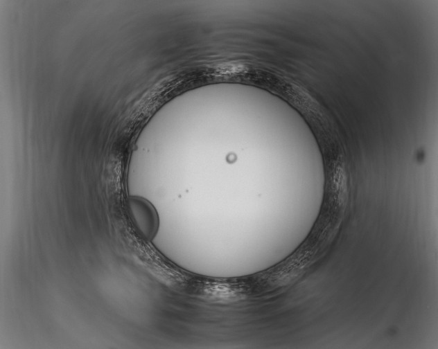 X0000116290565200912141314